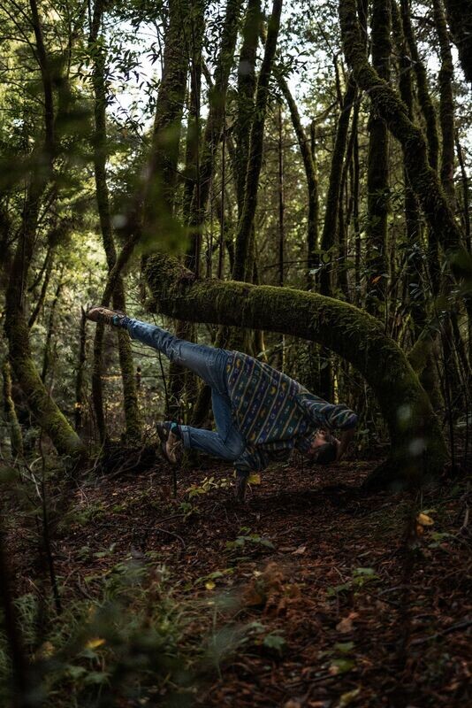 no. 3 | moss
