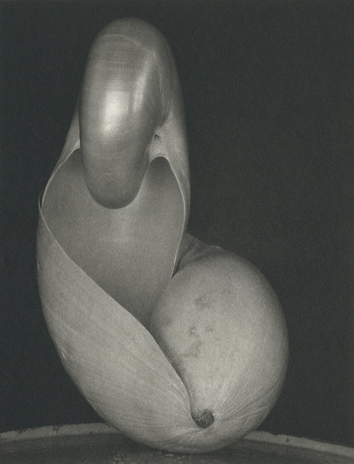 Shells 1927