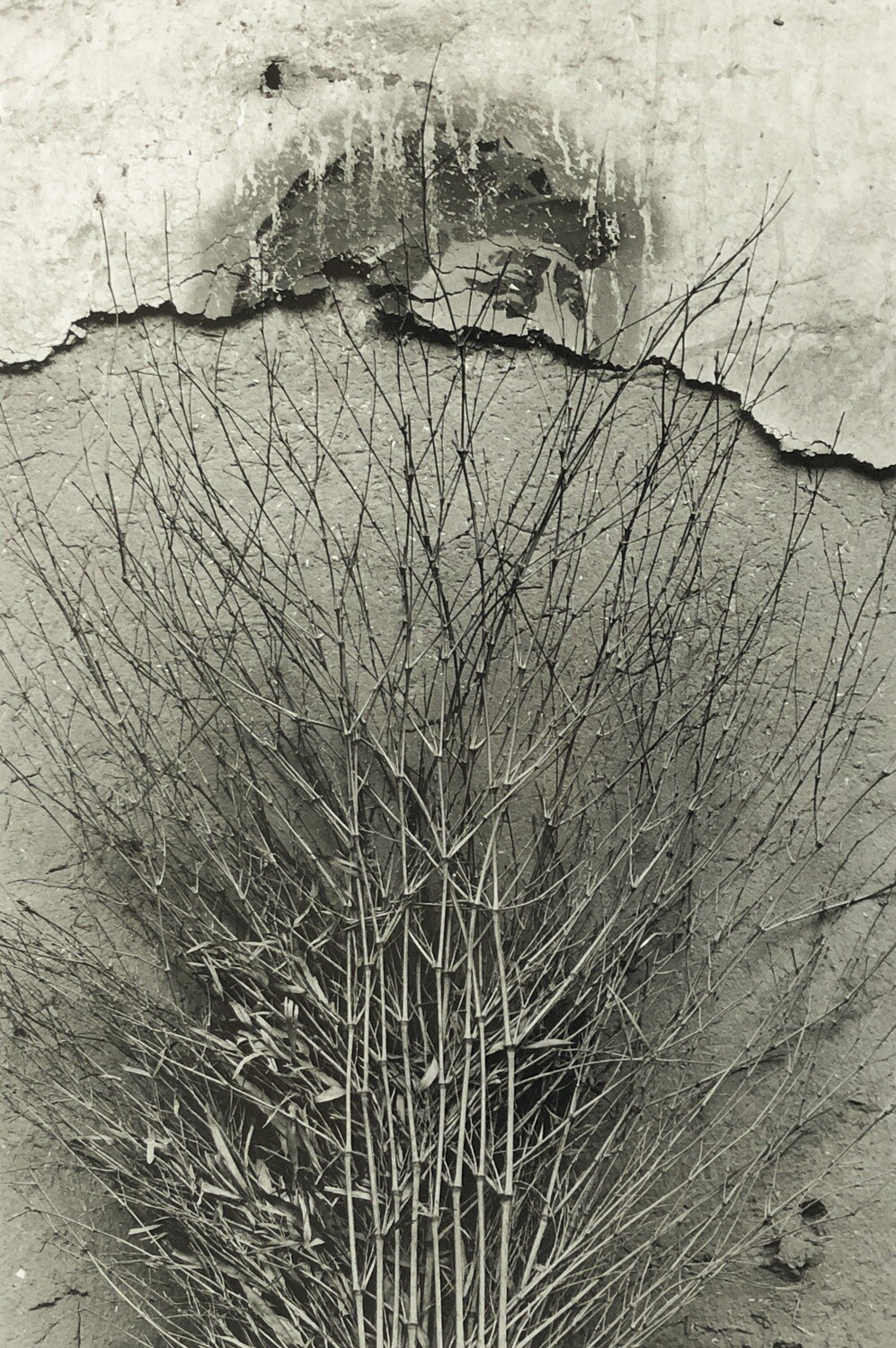 Wang Tong - Mao On The Wall 11