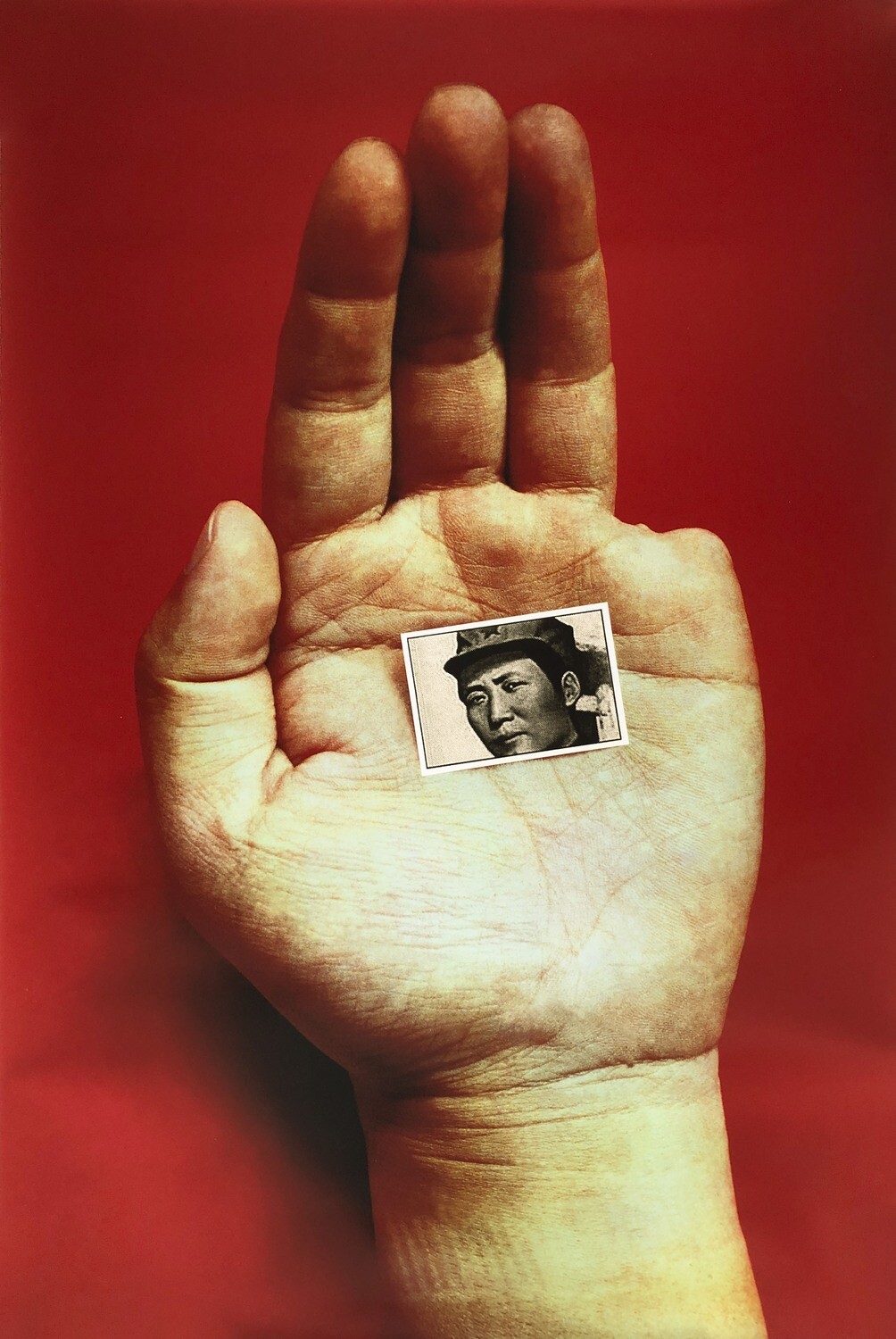 Sheng Qi - Mao