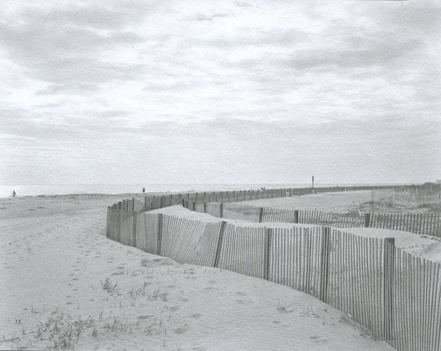 Tybee Morning
