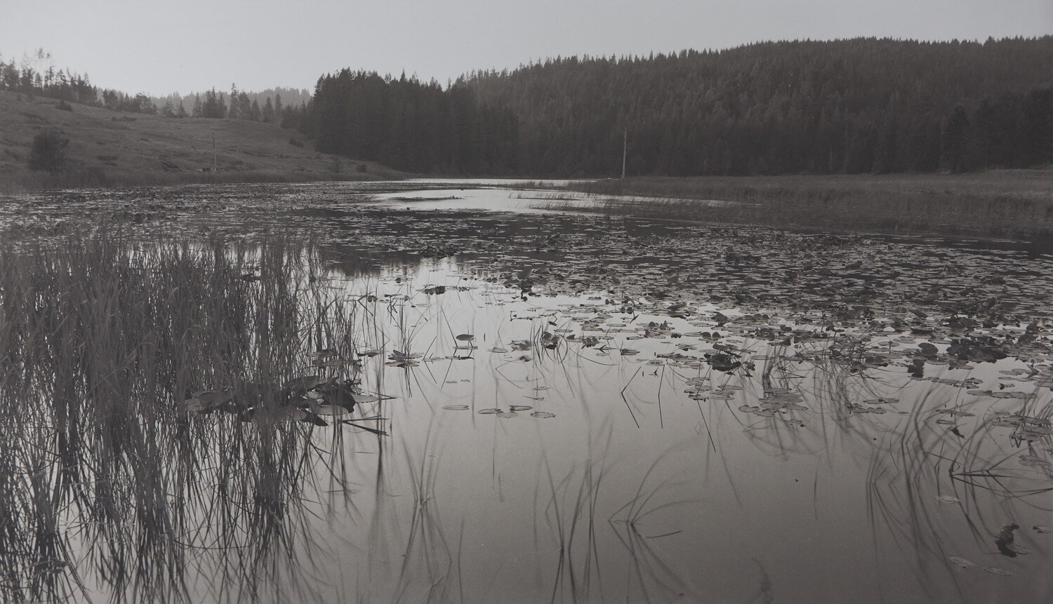 Marsh, Route 20, Northern California