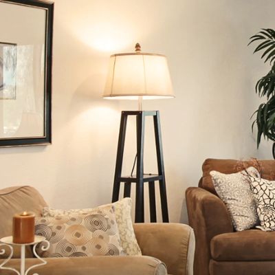 Ecosmart 60-Watt Equivalent A19 Non-Dimmable LED Light Bulb