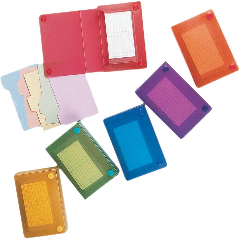 Filexec Index Card Case - Asst 3x5in Bulk Frosted