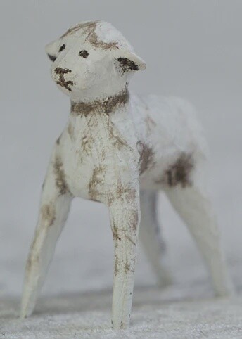 Baby Sheep