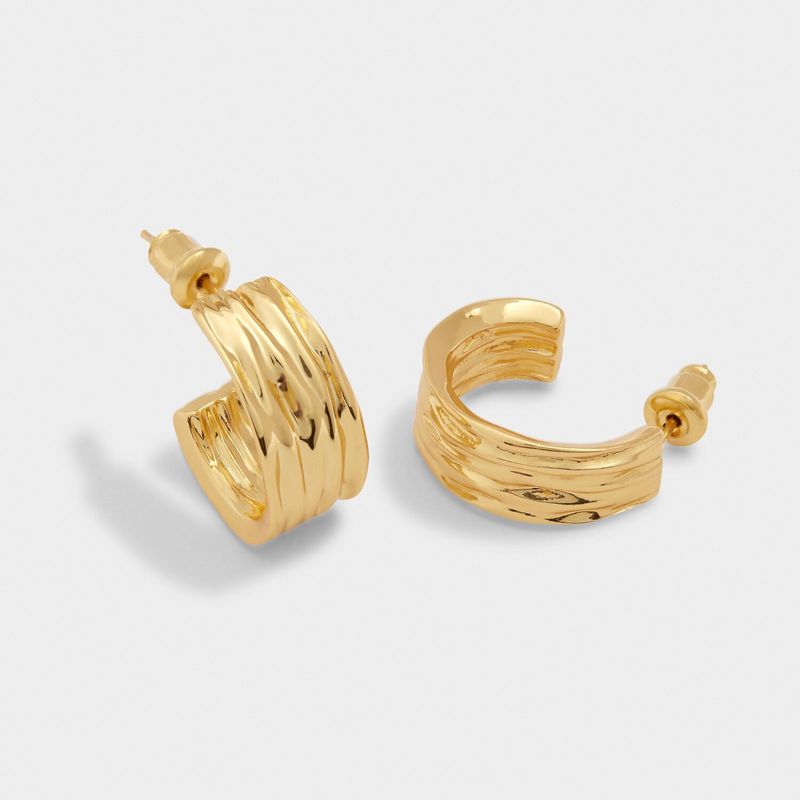 Earrings - Cleyo Hoop