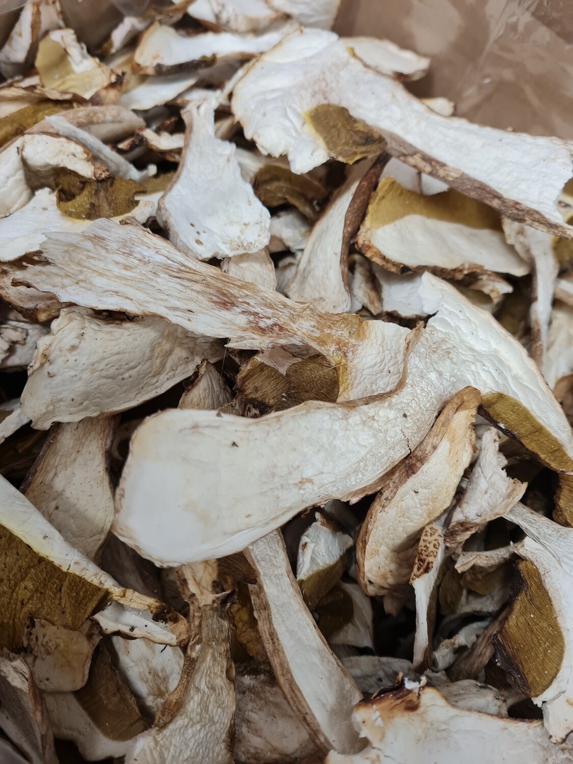 Funghi porcini secchi EXTRA 1 KG