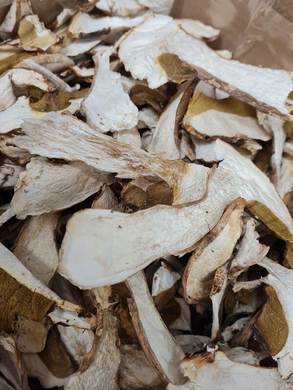 Funghi porcini secchi EXTRA 1 KG