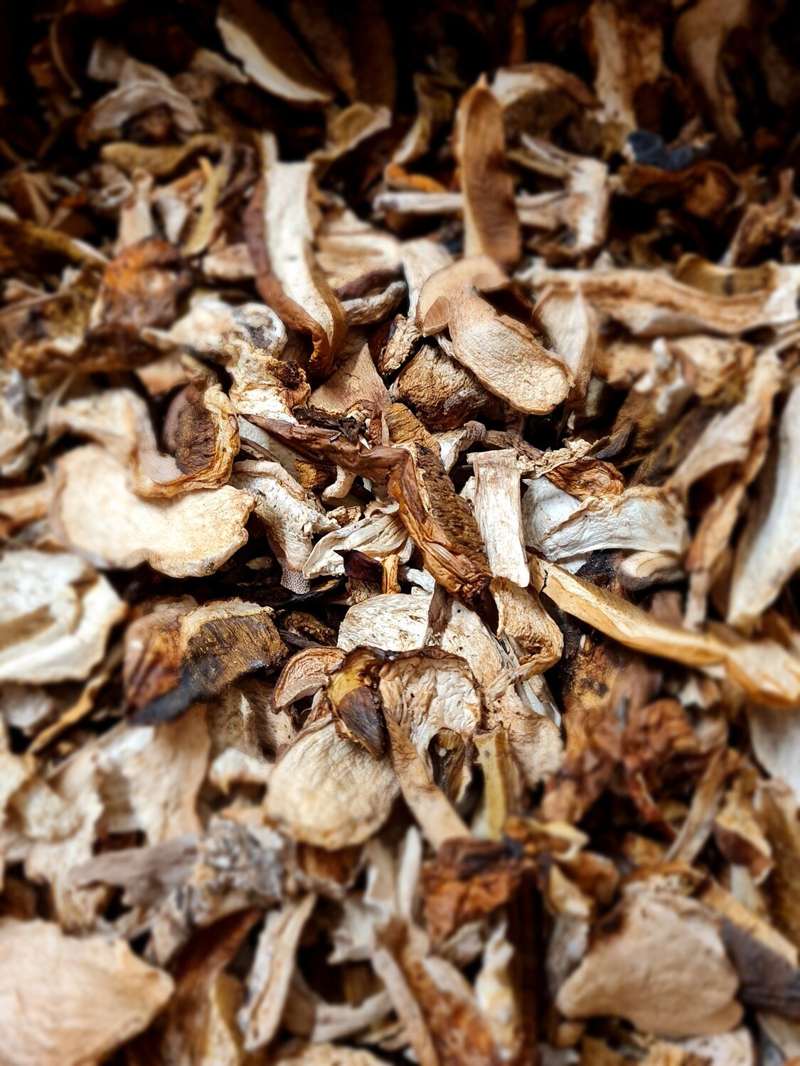 Milano Funghi Shop Online Funghi