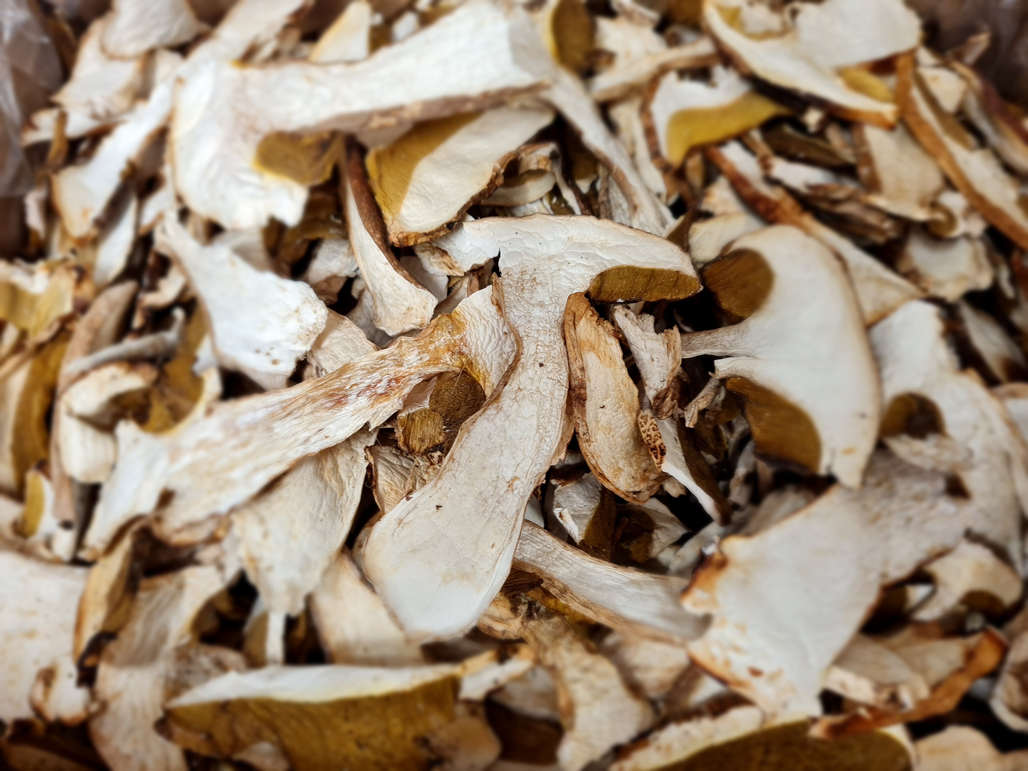 Funghi porcini secchi EXTRA 1 KG