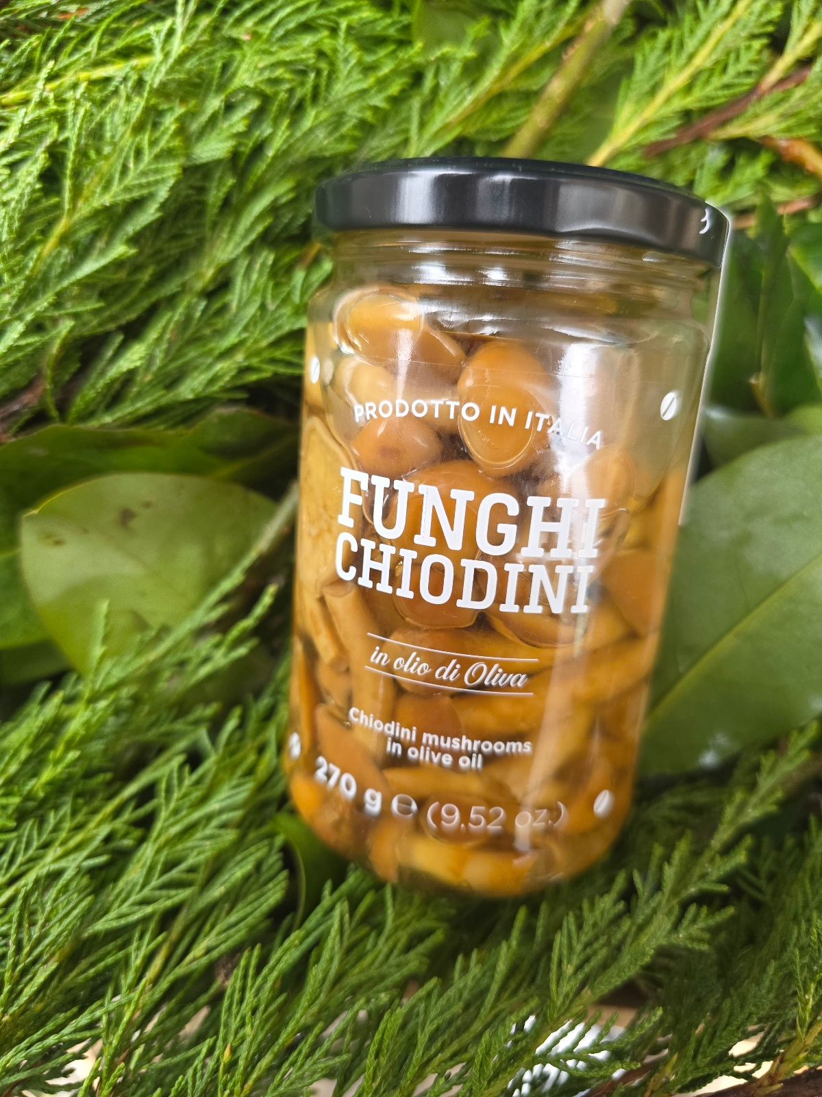 Funghi chiodini in olio d'oliva 270g