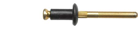 Rivets Automotive Pop