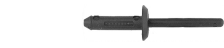 Rivets Blind Nylon