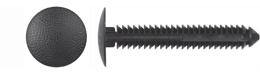 Retainers Shield