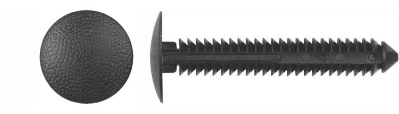 Retainers Shield