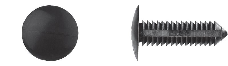 Retainers Shield