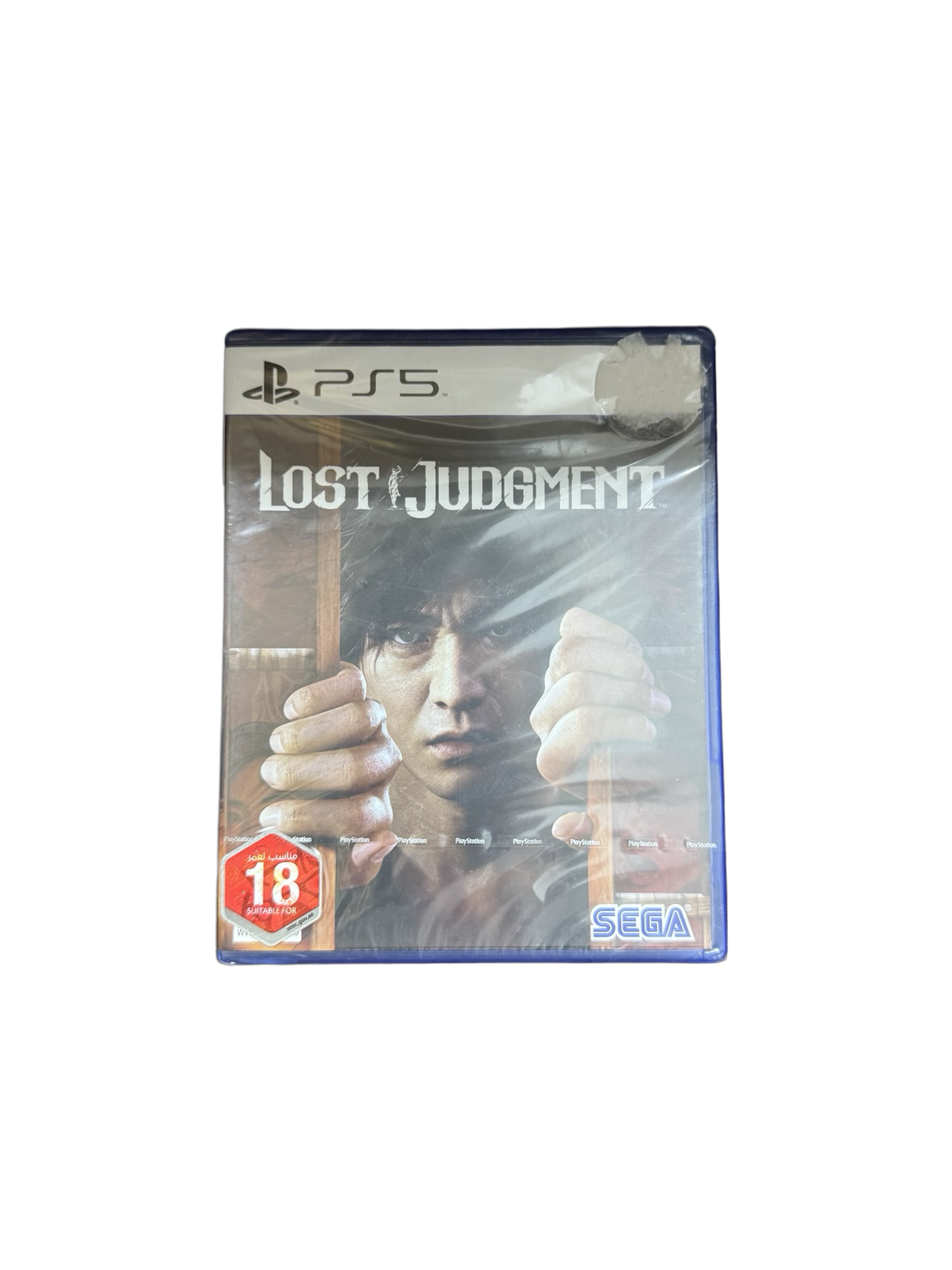 Lost judgement 