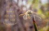 Karte mit Spruch