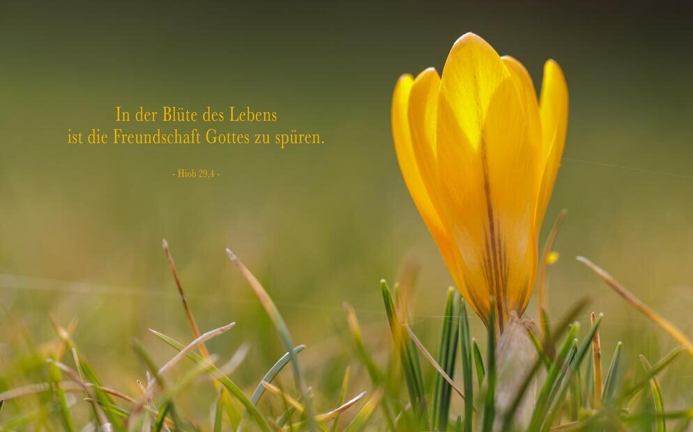 Karte mit Spruch