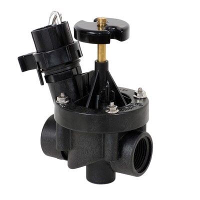 Rain Bird PEB 1" Valve