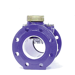 Water Meter Flanged Face DN80 and DN100