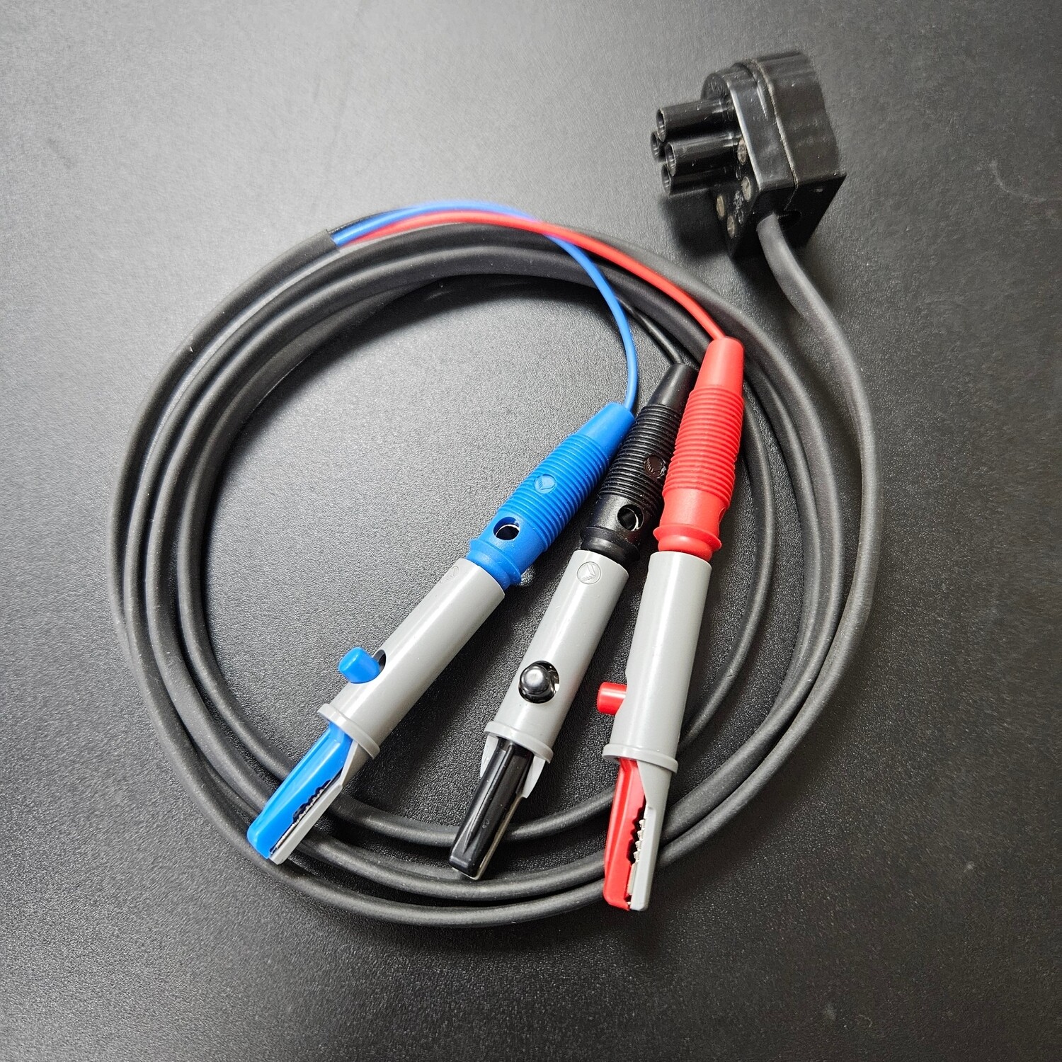 Bailoy Gemini Programming Lead