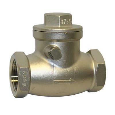 Stainless Steel Swing Check Valve