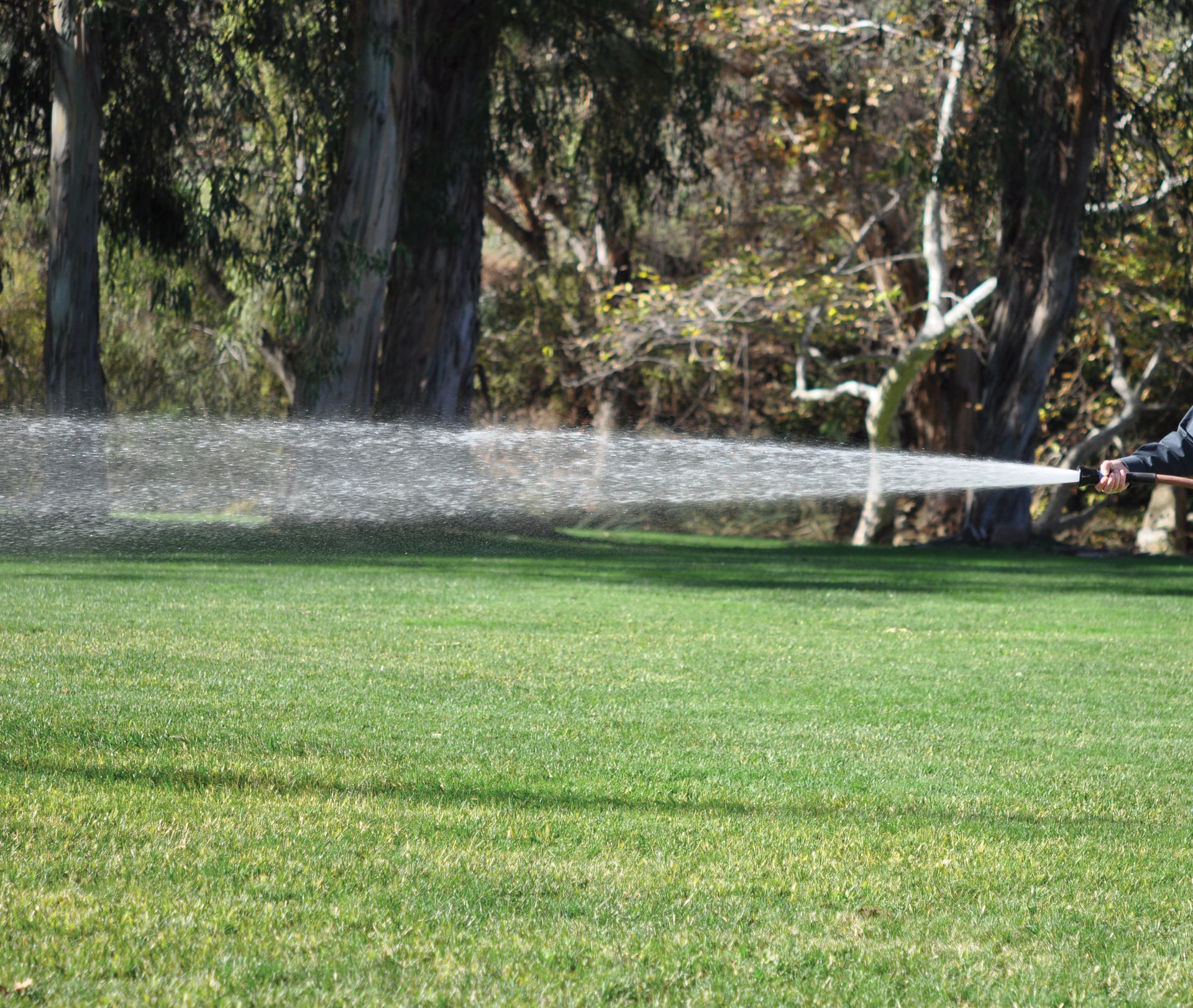 Hunter Spot Shot Hose Nozzle