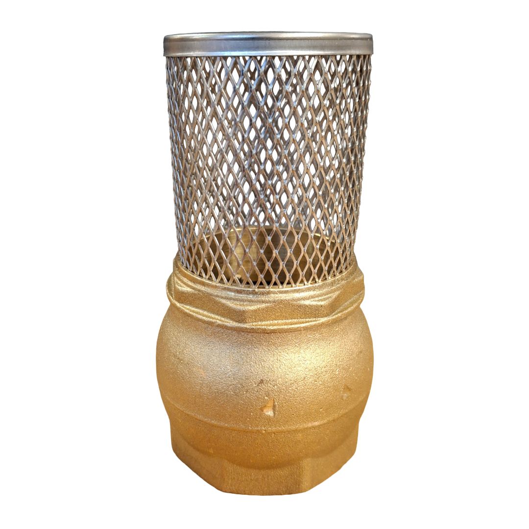 Brass 2" Foot Valve with Stainless Steel Strainer