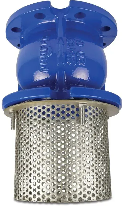 DN80 Cast Iron Foot Valve with Stainless Steel Mesh Strainer