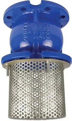 DN80 Cast Iron Foot Valve with Stainless Steel Mesh Strainer