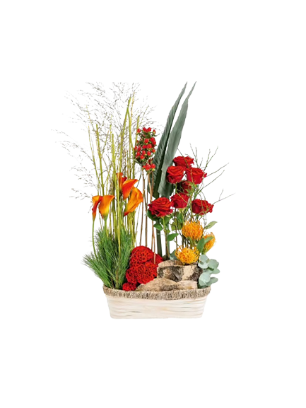 Jardin du souvenir