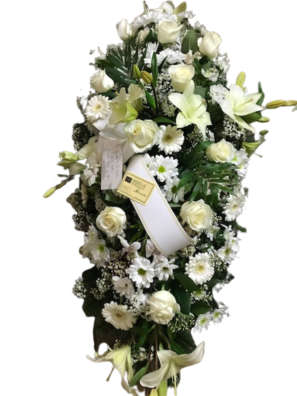 Raquette blanche