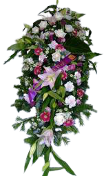 Raquette rose blanc parme