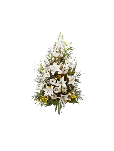 Symphonie blanc