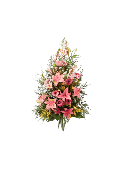 Symphonie rose
