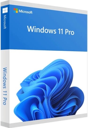 Windows 11 Profesional