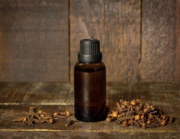 Forest: Fast Acting  Muscle &amp; Joint Pain Blend Large