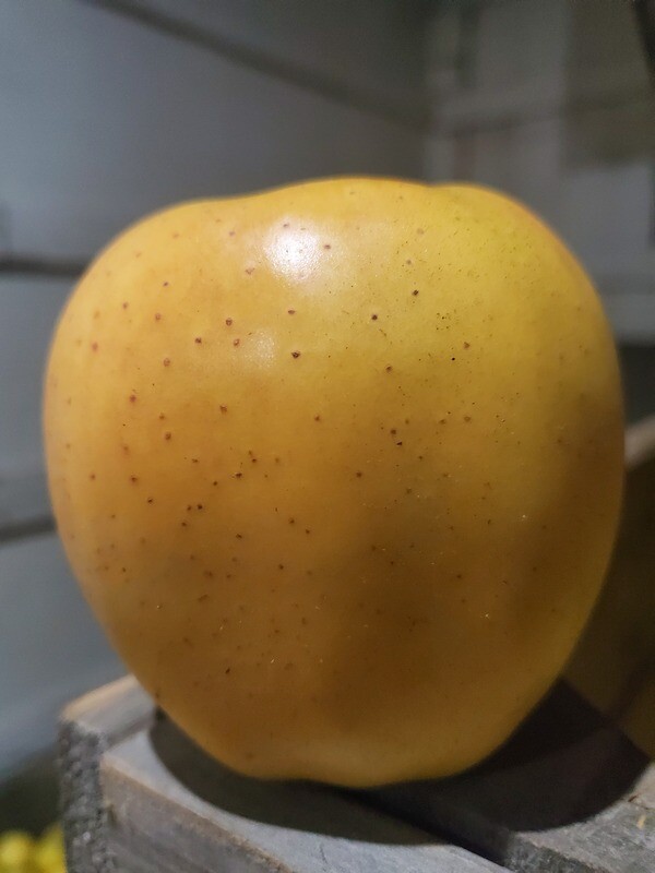 10 lb Golden Delicious