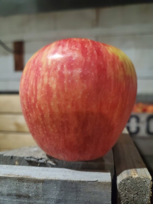 10 lb Honeycrisp Apples