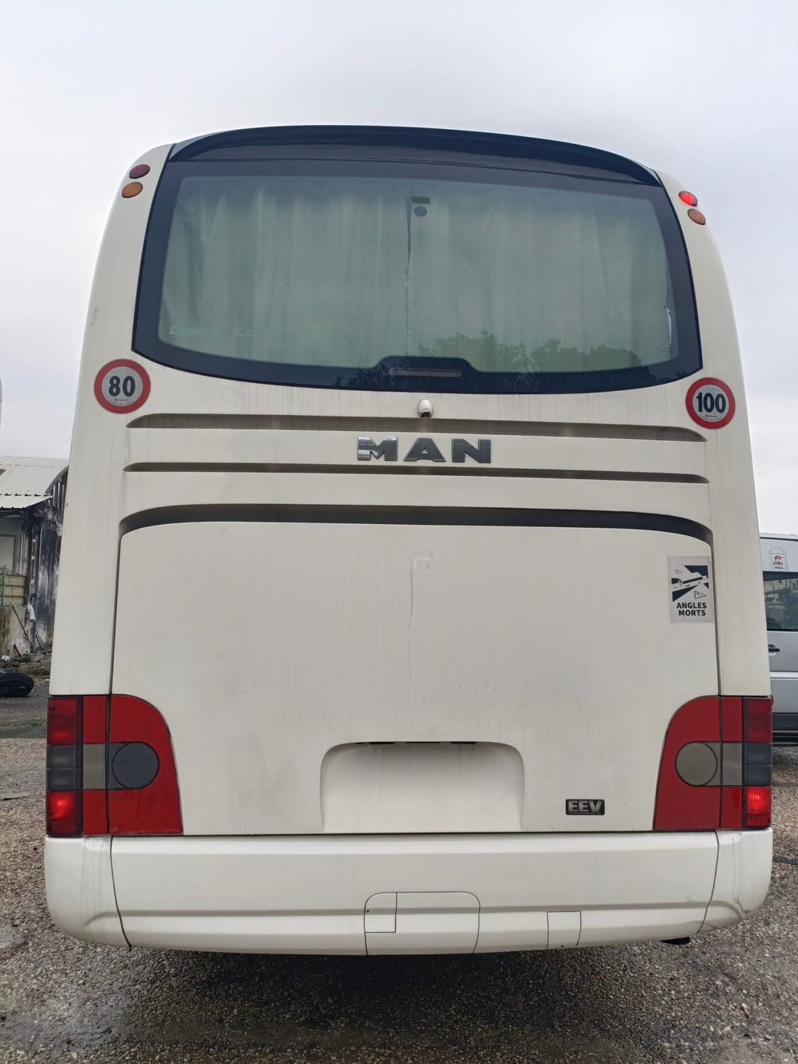 Man Lion&#39;s Coach