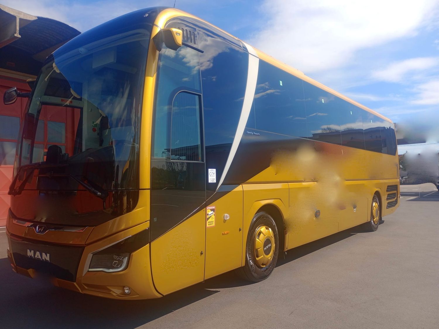 Man Lion's Coach
