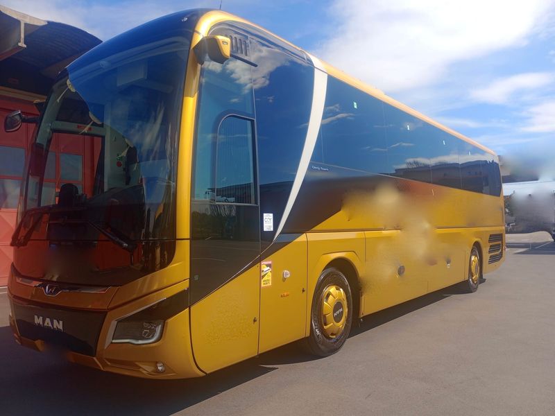 Man Lion's Coach