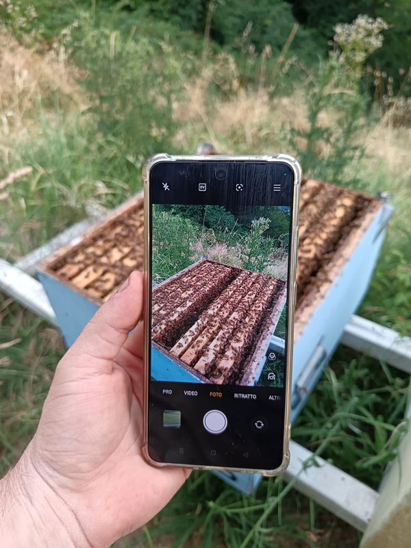 #2 APICOLTORE VIRTUALE