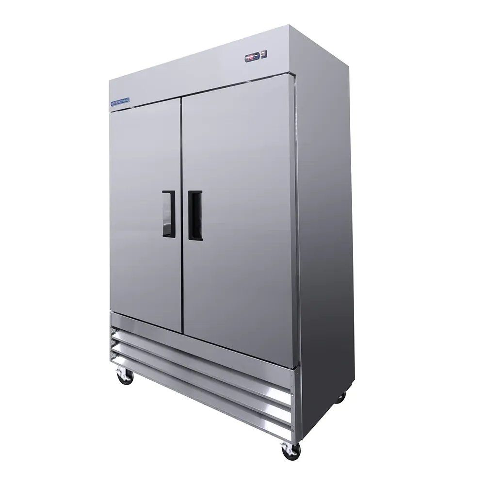 INTERNATIONAL Refrigerador Vertical Dos Puertas Solidas INT/RV-2PS-AI