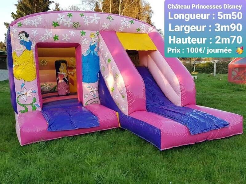 Château Princesse Disney