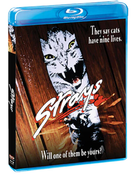 Strays (Blu-ray)