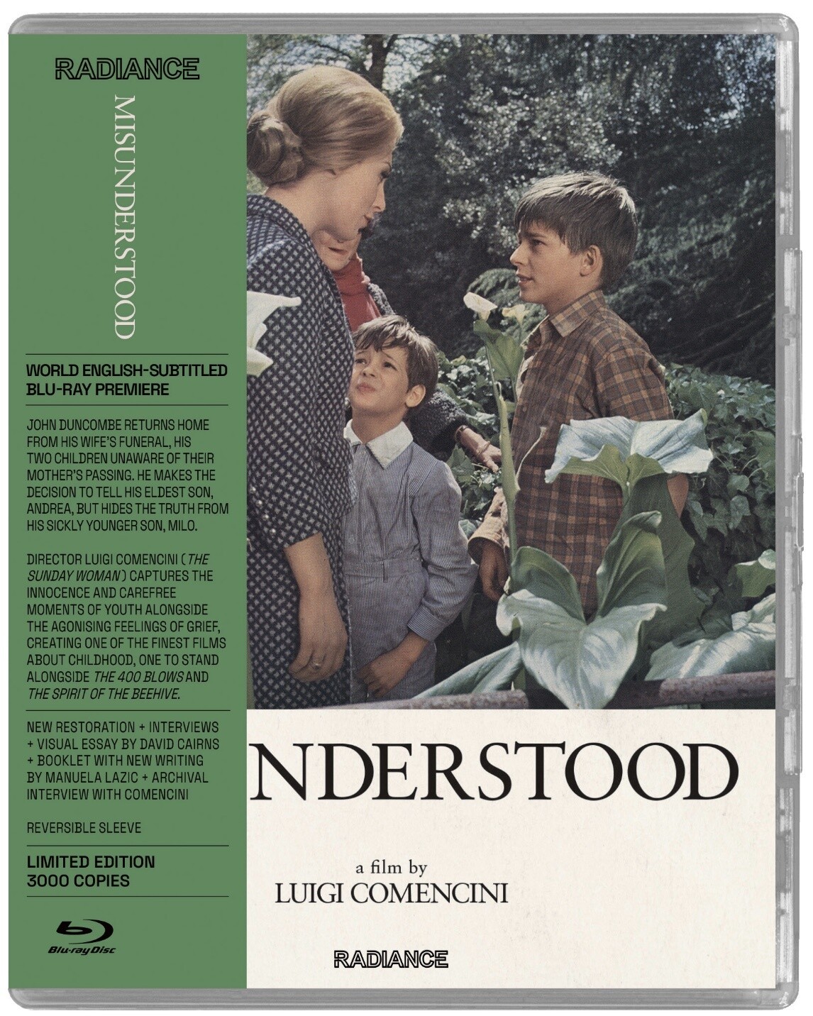 Misunderstood (Blu-ray)
