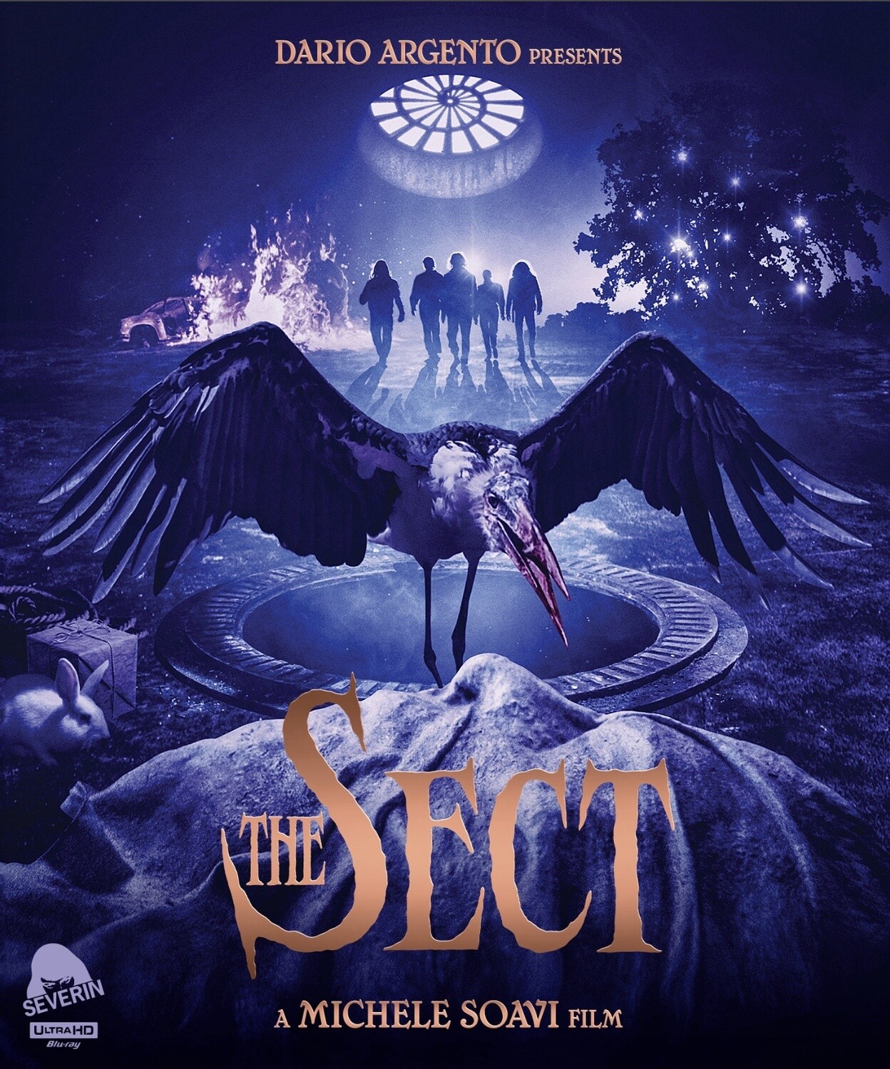 Sect (4K-UHD)