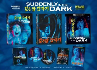 Suddenly in the Dark Deluxe (4K-UHD)